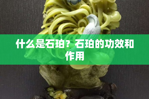 什么是石珀？石珀的功效和作用