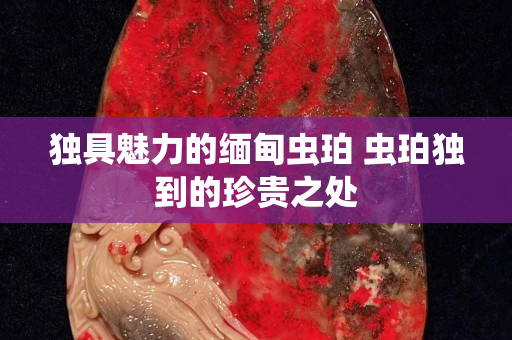 独具魅力的缅甸虫珀 虫珀独到的珍贵之处