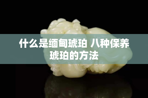 什么是缅甸琥珀 八种保养琥珀的方法