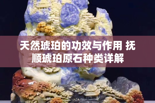 天然琥珀的功效与作用 抚顺琥珀原石种类详解
