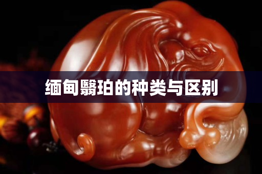 缅甸翳珀的种类与区别