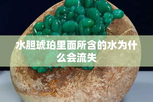 水胆琥珀里面所含的水为什么会流失