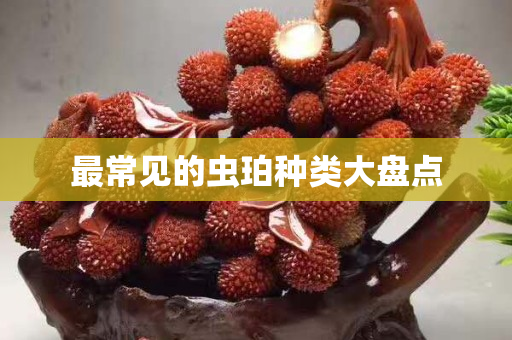 最常见的虫珀种类大盘点