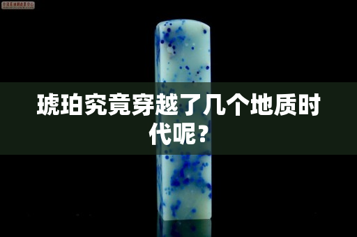 琥珀究竟穿越了几个地质时代呢？