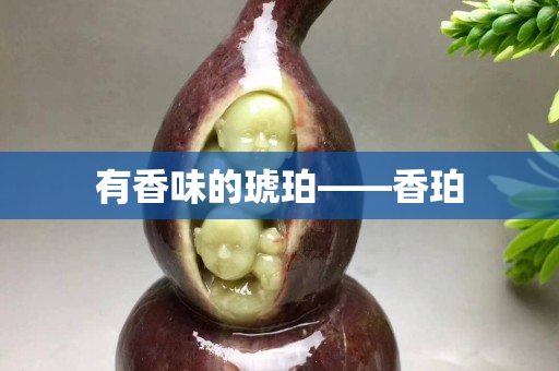 有香味的琥珀——香珀