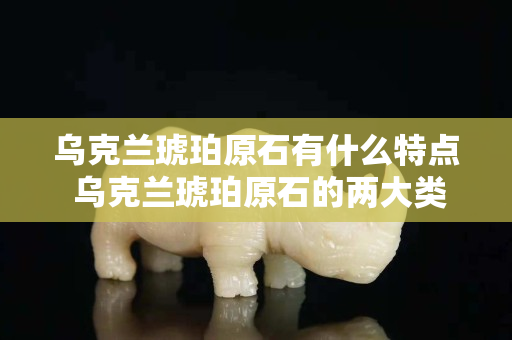 乌克兰琥珀原石有什么特点 乌克兰琥珀原石的两大类