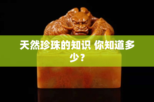 天然珍珠的知识 你知道多少？