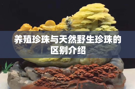 养殖珍珠与天然野生珍珠的区别介绍