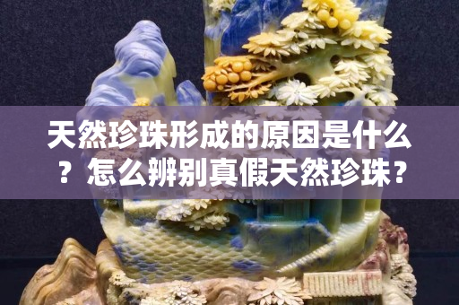 天然珍珠形成的原因是什么？怎么辨别真假天然珍珠？