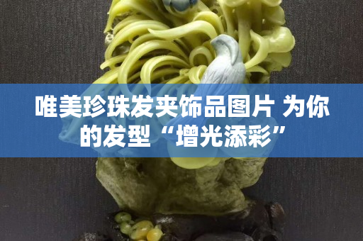 唯美珍珠发夹饰品图片 为你的发型“增光添彩”