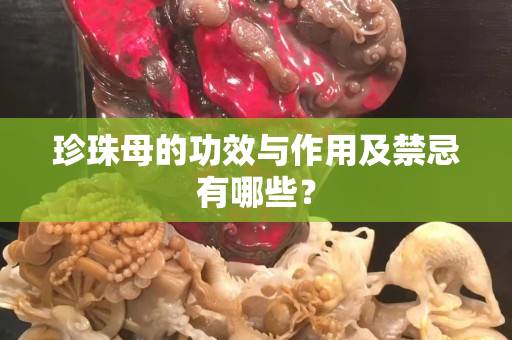 珍珠母的功效与作用及禁忌有哪些？