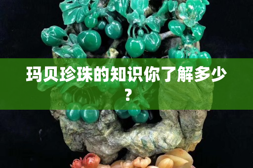 玛贝珍珠的知识你了解多少？