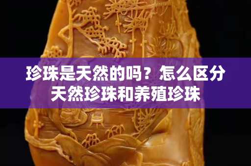 珍珠是天然的吗？怎么区分天然珍珠和养殖珍珠