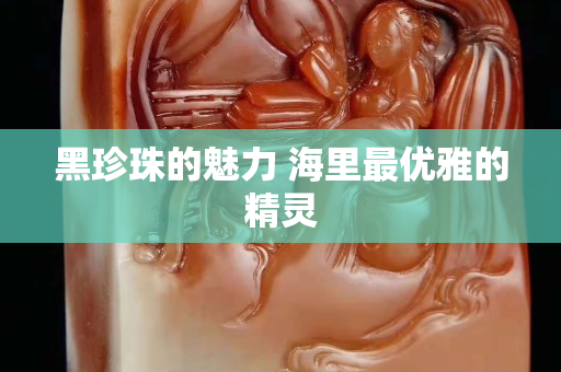 黑珍珠的魅力 海里最优雅的精灵