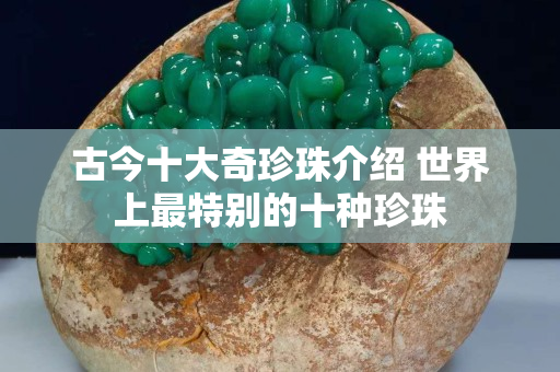 古今十大奇珍珠介绍 世界上最特别的十种珍珠