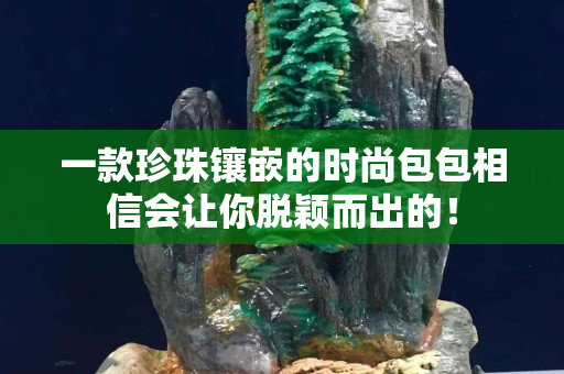 一款珍珠镶嵌的时尚包包相信会让你脱颖而出的！