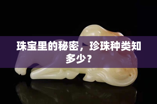 珠宝里的秘密，珍珠种类知多少？