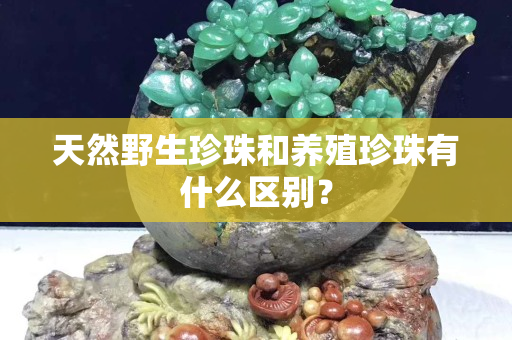 天然野生珍珠和养殖珍珠有什么区别？