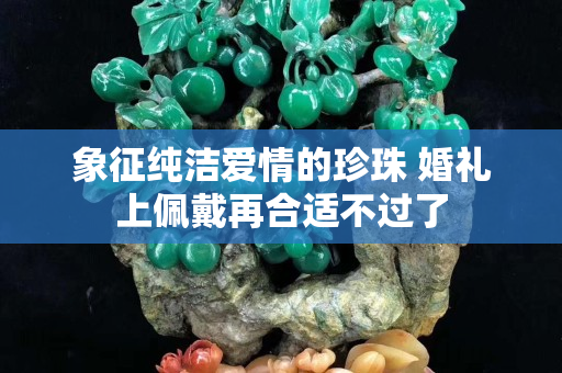 象征纯洁爱情的珍珠 婚礼上佩戴再合适不过了