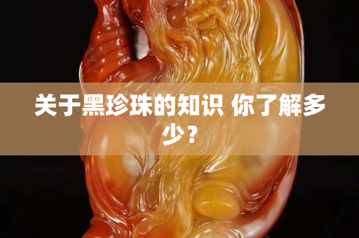 关于黑珍珠的知识 你了解多少？
