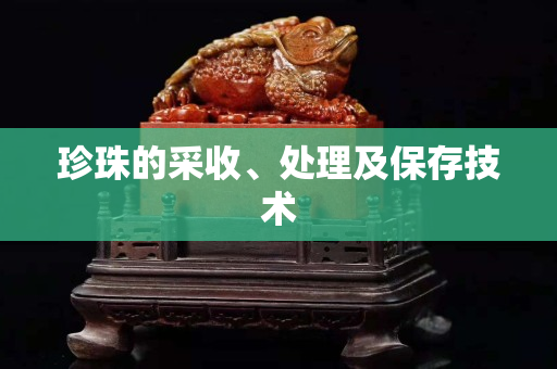 珍珠的采收、处理及保存技术