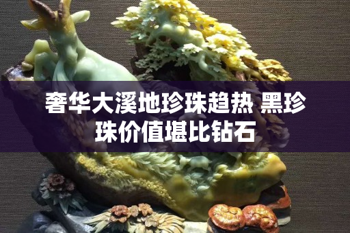 奢华大溪地珍珠趋热 黑珍珠价值堪比钻石