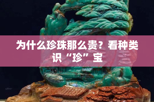 为什么珍珠那么贵？看种类识“珍”宝