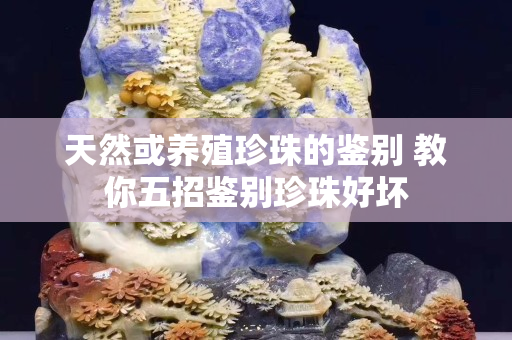天然或养殖珍珠的鉴别 教你五招鉴别珍珠好坏