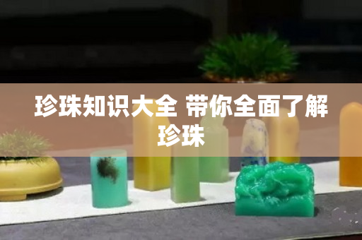 珍珠知识大全 带你全面了解珍珠