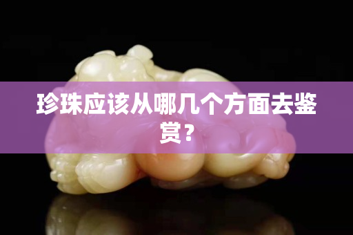 珍珠应该从哪几个方面去鉴赏？