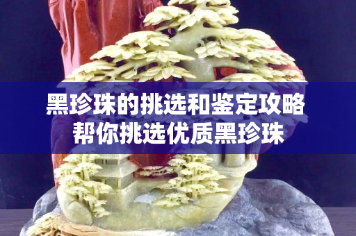 黑珍珠的挑选和鉴定攻略 帮你挑选优质黑珍珠