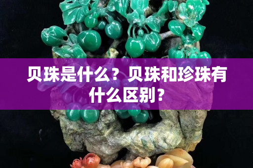 贝珠是什么？贝珠和珍珠有什么区别？