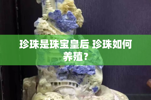 珍珠是珠宝皇后 珍珠如何养殖？