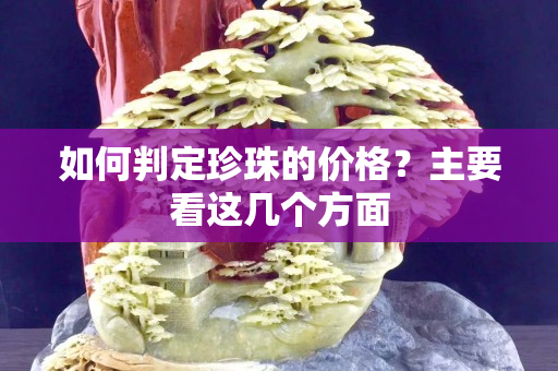 如何判定珍珠的价格？主要看这几个方面