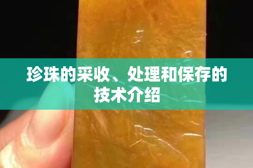 珍珠的采收、处理和保存的技术介绍