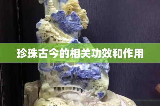 珍珠古今的相关功效和作用