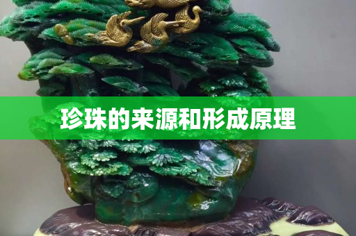 珍珠的来源和形成原理