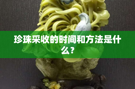 珍珠采收的时间和方法是什么？