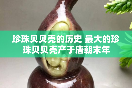 珍珠贝贝壳的历史 最大的珍珠贝贝壳产于唐朝末年