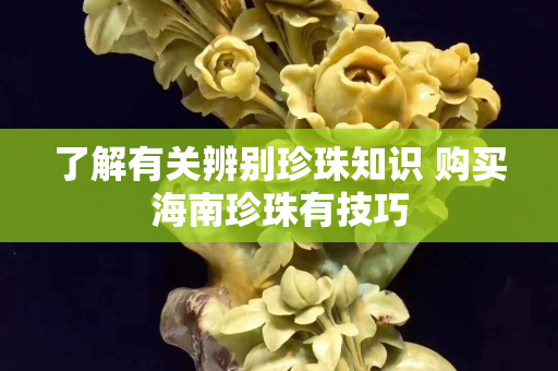 了解有关辨别珍珠知识 购买海南珍珠有技巧
