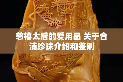 慈禧太后的爱用品 关于合浦珍珠介绍和鉴别