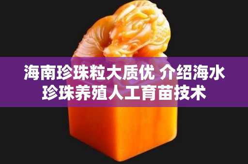海南珍珠粒大质优 介绍海水珍珠养殖人工育苗技术