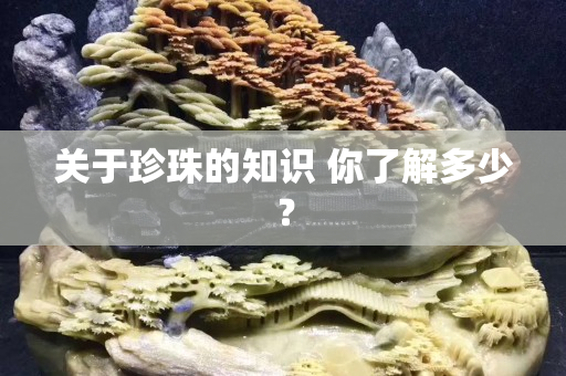 关于珍珠的知识 你了解多少？