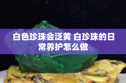 白色珍珠会泛黄 白珍珠的日常养护怎么做