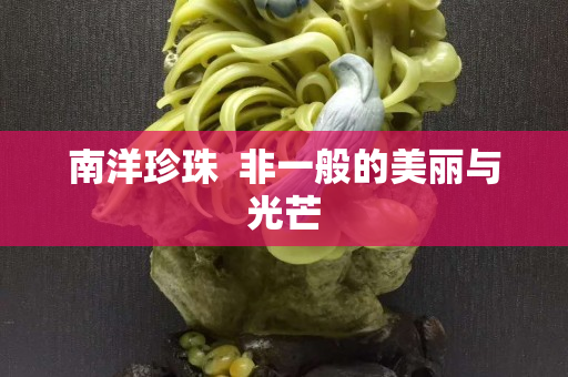 南洋珍珠  非一般的美丽与光芒