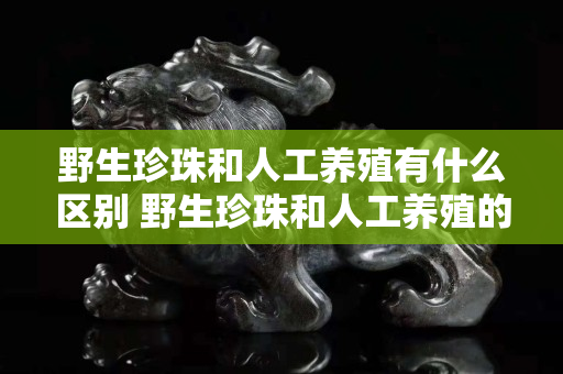 野生珍珠和人工养殖有什么区别 野生珍珠和人工养殖的鉴别