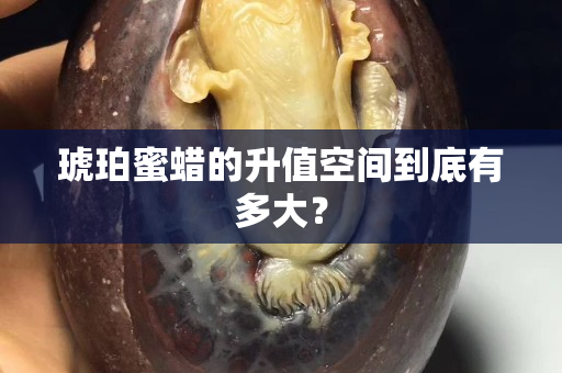 琥珀蜜蜡的升值空间到底有多大？