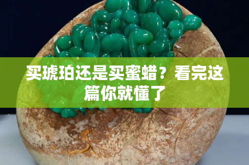买琥珀还是买蜜蜡？看完这篇你就懂了