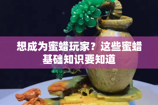 想成为蜜蜡玩家？这些蜜蜡基础知识要知道