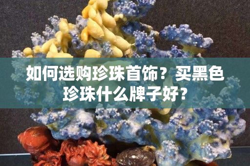 如何选购珍珠首饰？买黑色珍珠什么牌子好？